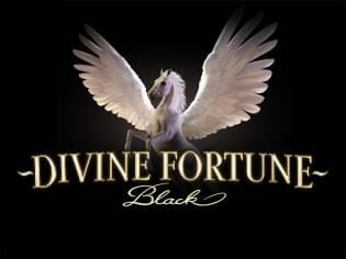 Divine Fortune Black game cover